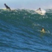Mavericks