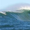 Mavericks